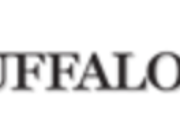 Logo for the Buffalo News